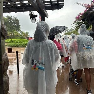 🎄FIRM PRICE🎄 Disney World Reusable Rain Jacket Adult Size